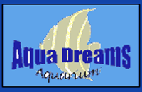 Aqua Dreams